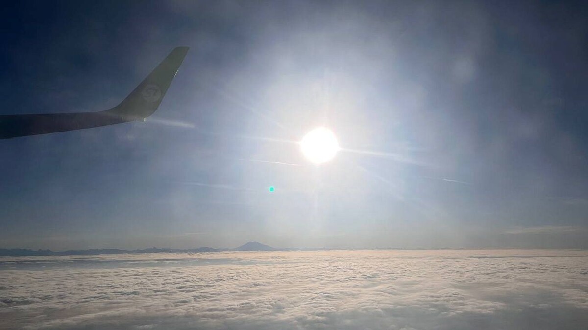    Фото: телеканал «Краснодар»