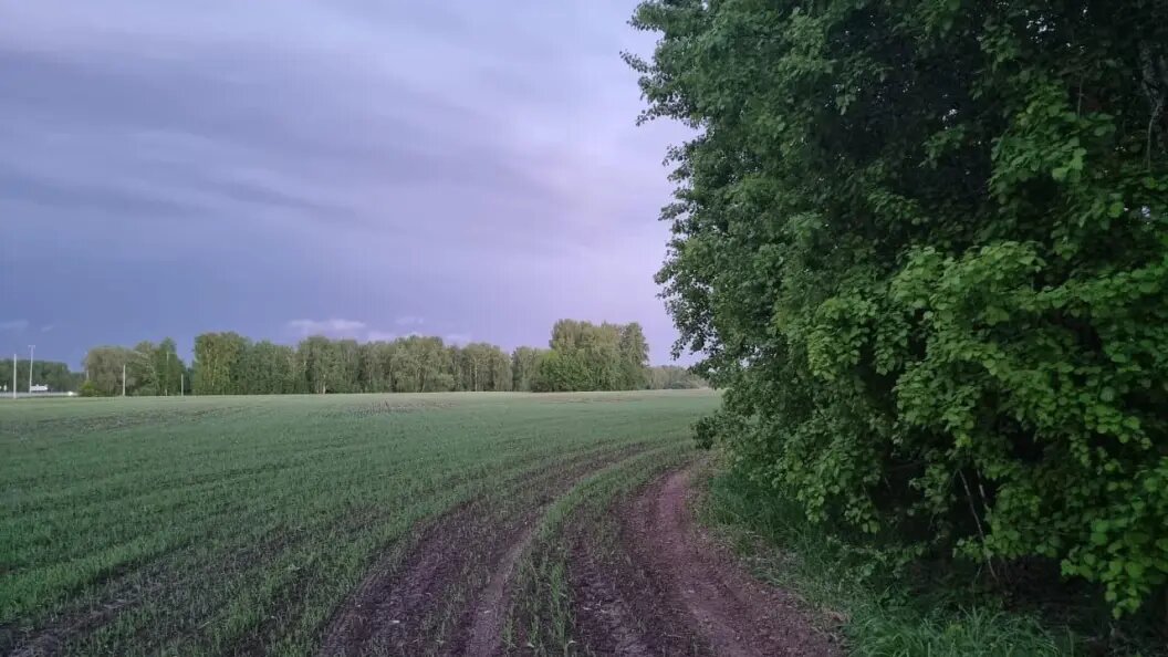    Фото: СУ СК России по Новосибирской области