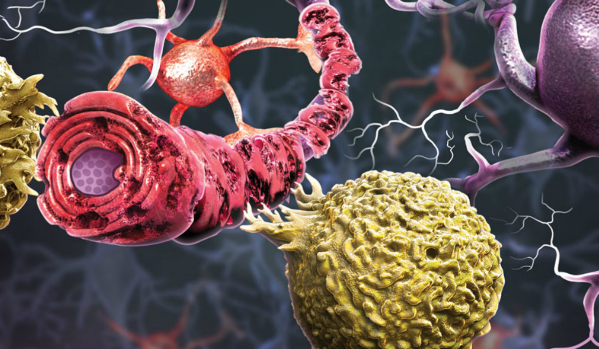 фото: https://ms-lectures.ru/