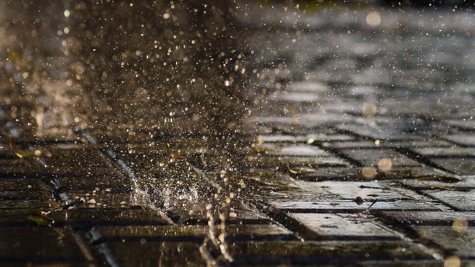 Фото: Александр Патрин / Коммерсантъ