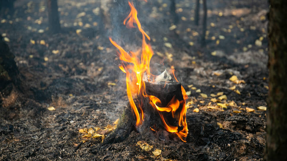 Фото: Владислав Лоншаков / Коммерсантъ