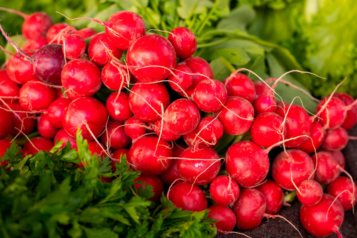    Фото: Engin_Akyurt / Pixabay.com