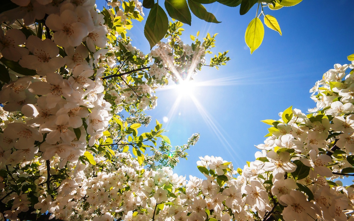 из открытого источника