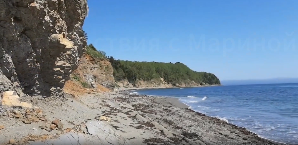 Берег моря в Лесном