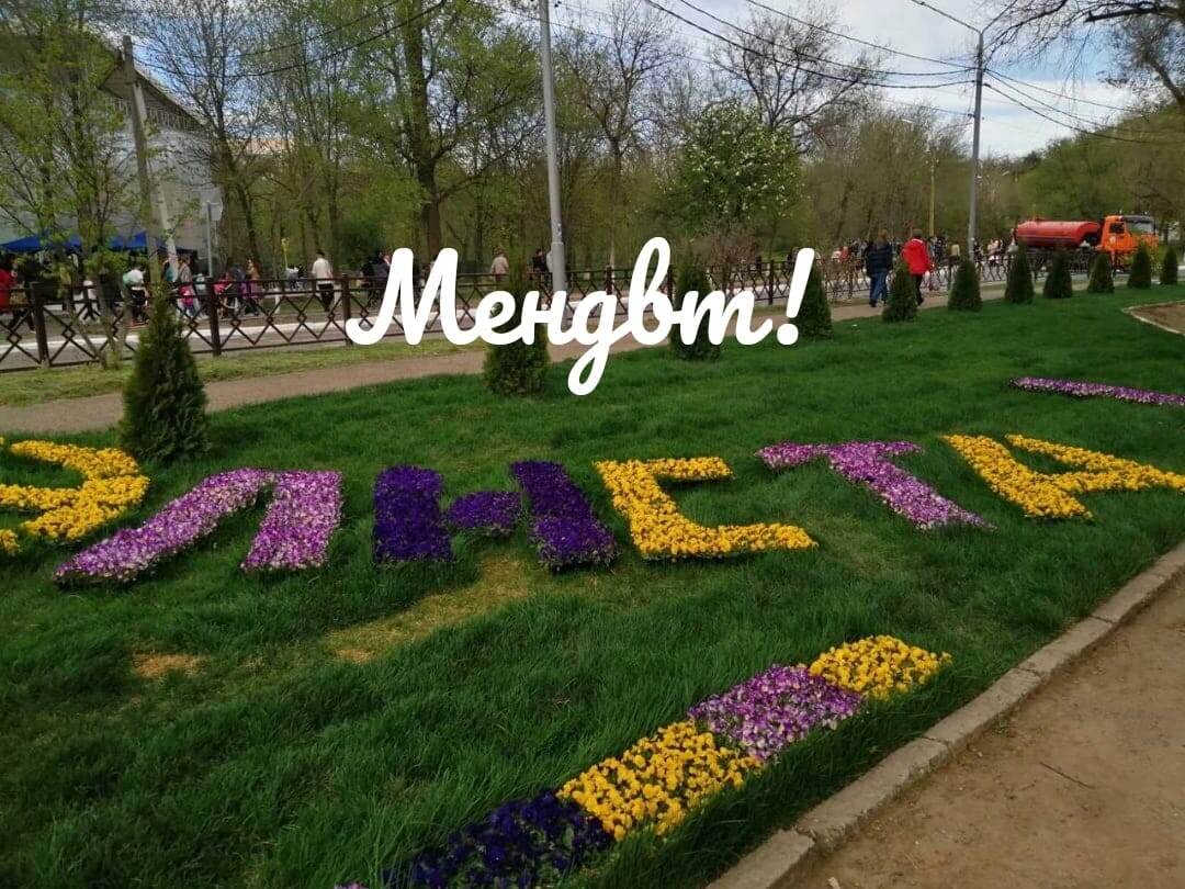 Клумба в Элисте. 