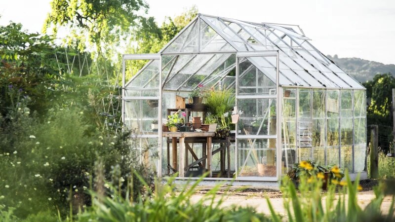     Теплица. freepik.com/rawpixel.com