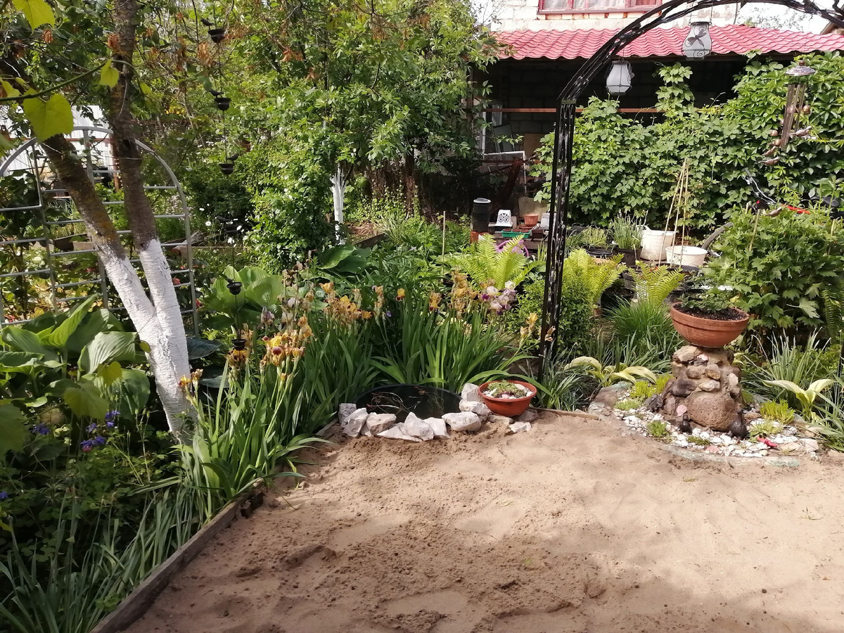 Стало: таз с нимфеями закопали, песок разровняли