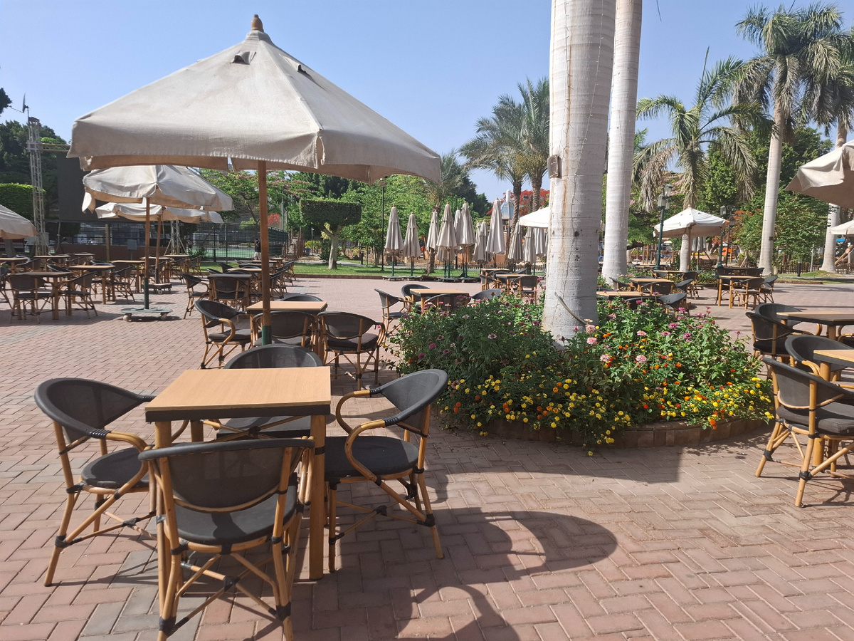 Почти египетское лето