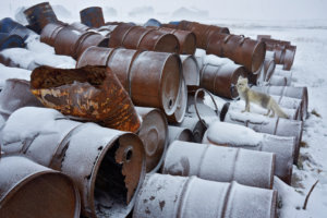    фото: Андрей Ермаков