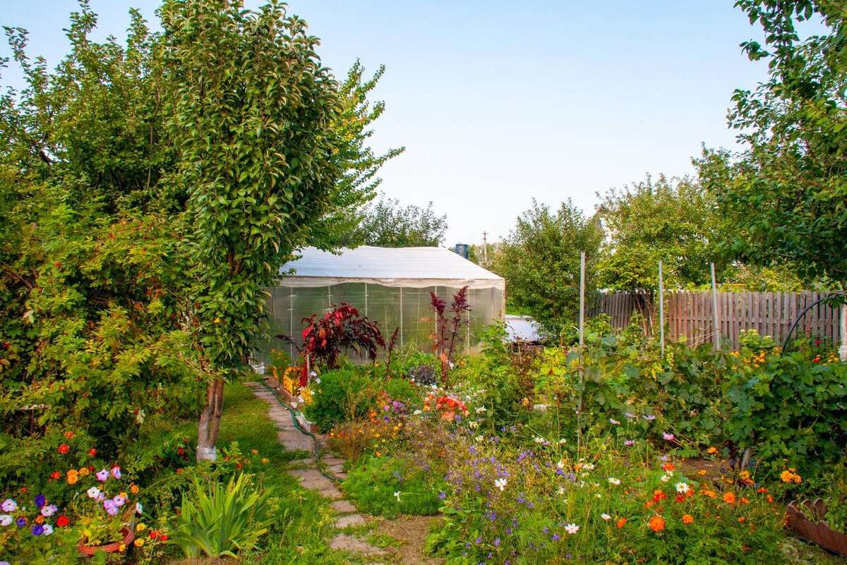     Светлана Возмилова/ globallookpress.com