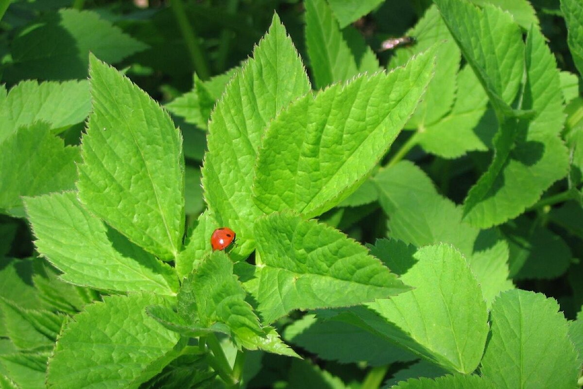     Alexander Legky/ globallookpress.com