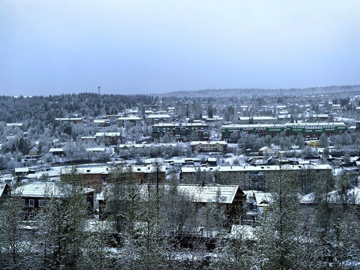     Источник: Виталий Левицкий / vk.com/officialadmse