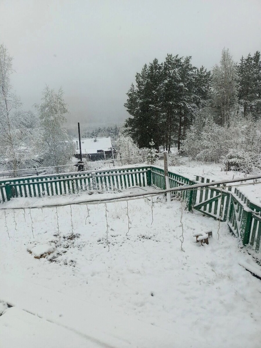     Источник: Анастасия Едингина