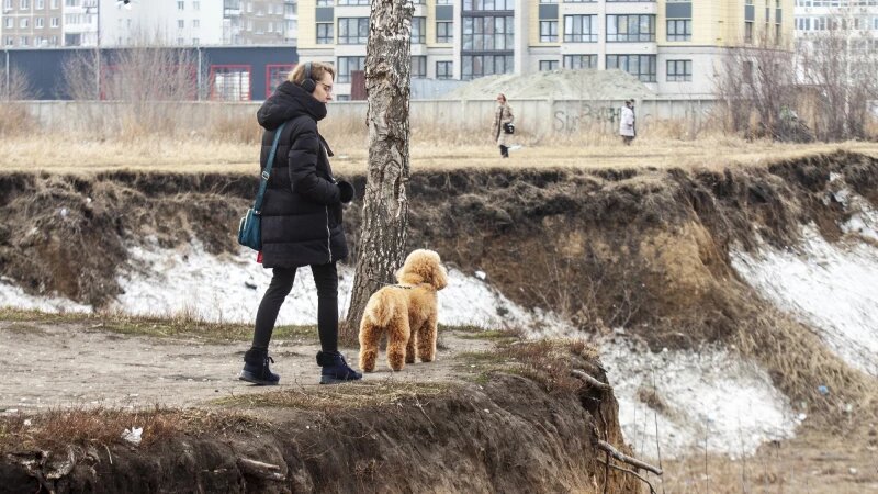     Пустырь за ТЦ «Европа» . Анна Зайкова