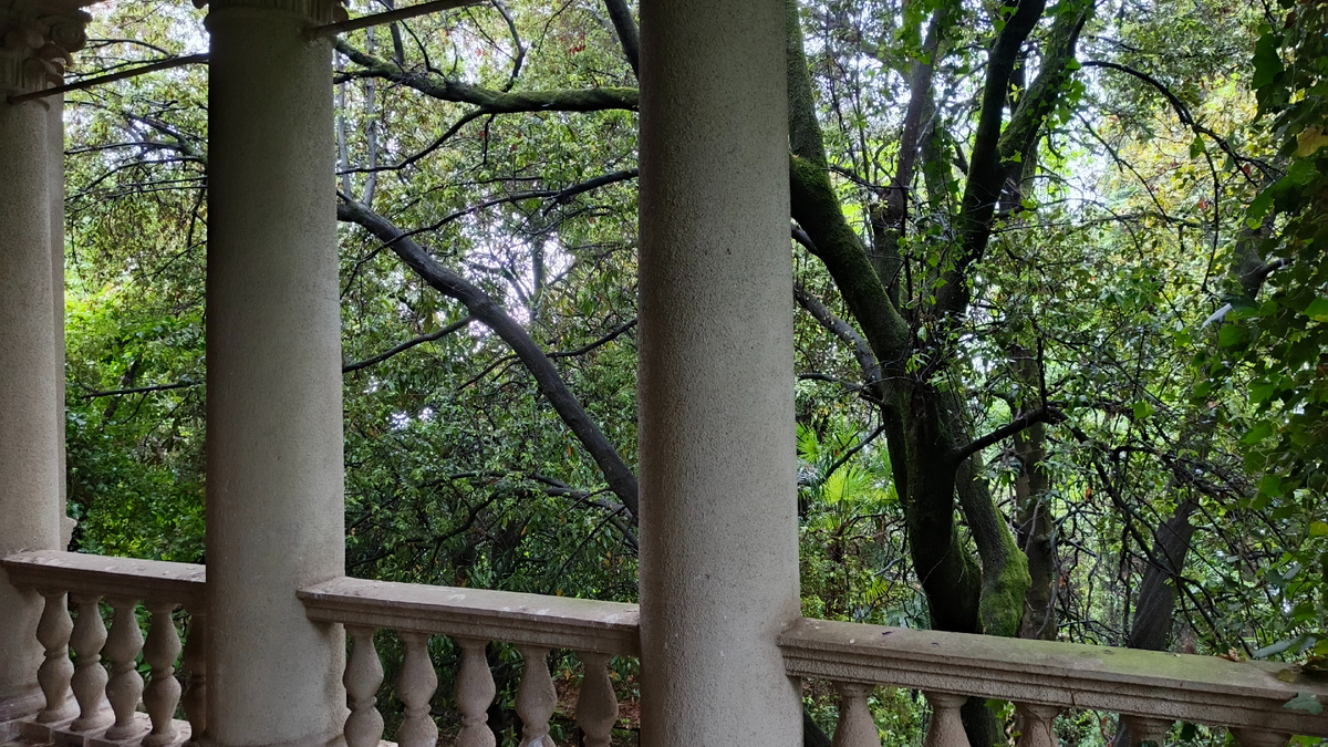 Вид с балкона бывшего санатория "Маяк" в Гагре. Май 2025. Фото автора.