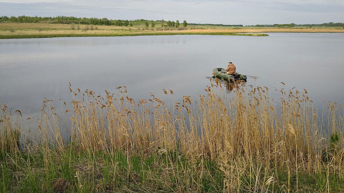     Источник: 1MI