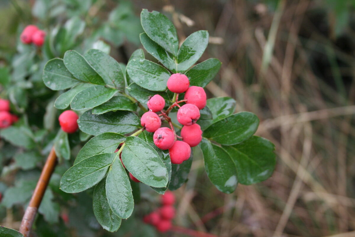 Фото предоставил Александр Исаев