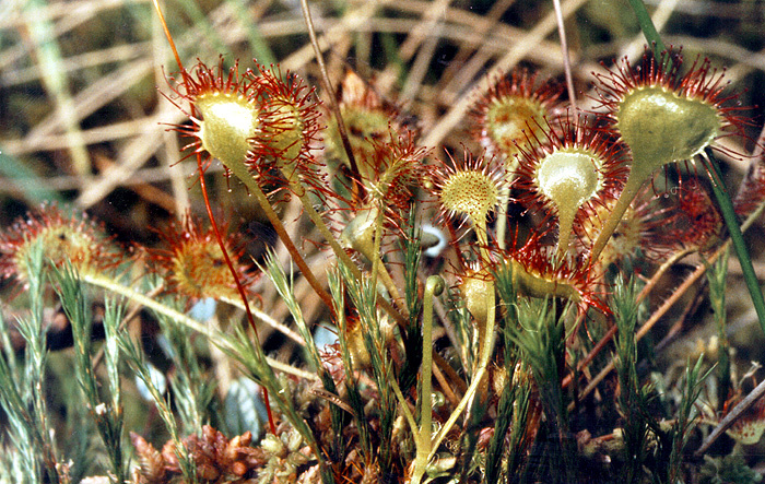 Фото предоставил Александр Исаев