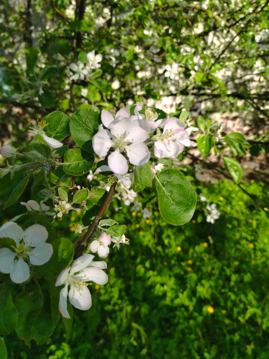 Фото для красоты) и просто для обложки)