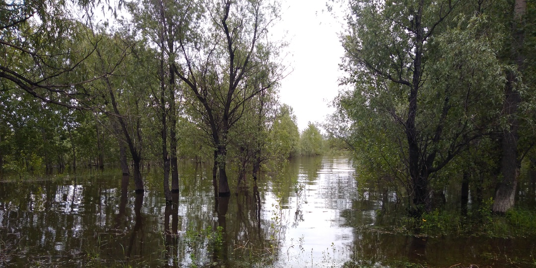 Уровень воды в Иртыше у Омска достиг критической отметки