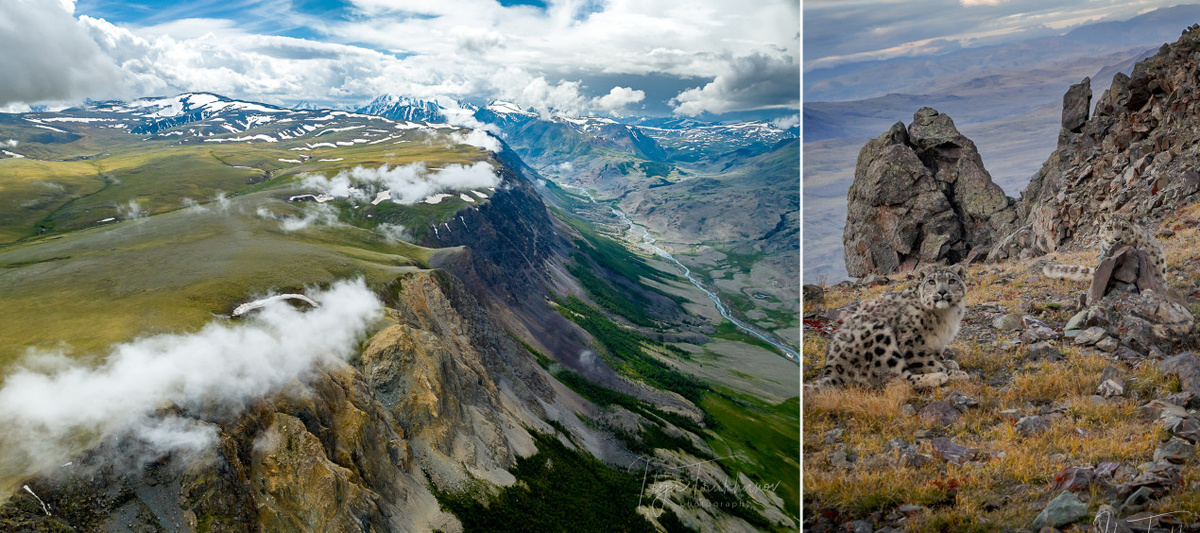 Места обитания ирбисов. Фото предоставлены пресс-службой национального парка «Сайлюгемский»
