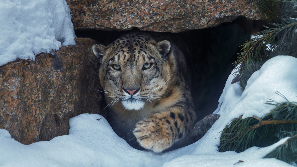 Фото: Олег Богданов, участник конкурса РГО «Самая красивая страна»