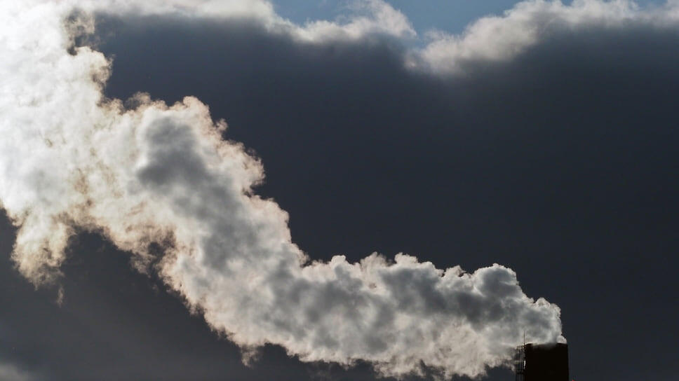 Фото: Елена Горбачева / Коммерсантъ
