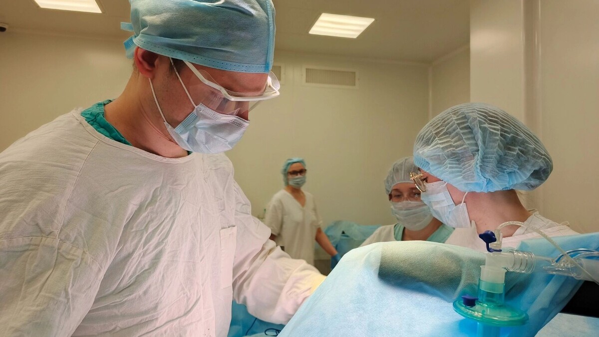     Источник: https://vk.com/chelonco74