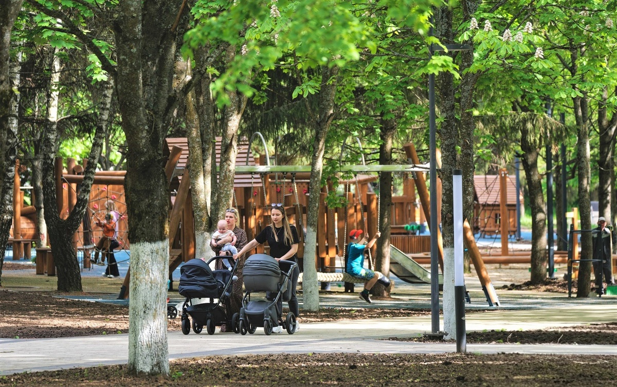 Фото Владимира Авдеева / «Медиацентр»