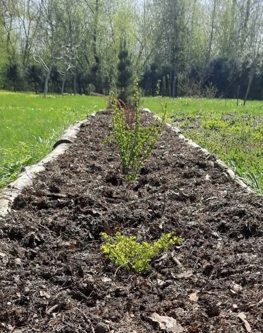 Мишины угодья