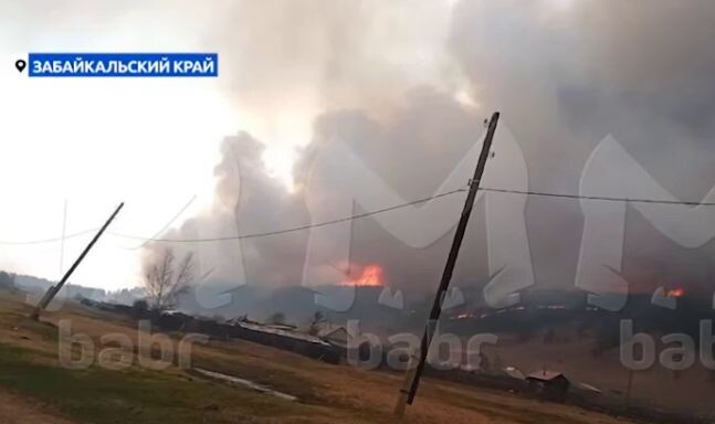    Фото: Telegram-канал Babr Mash