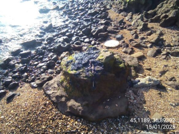    Фото: t.me/mpr_kk