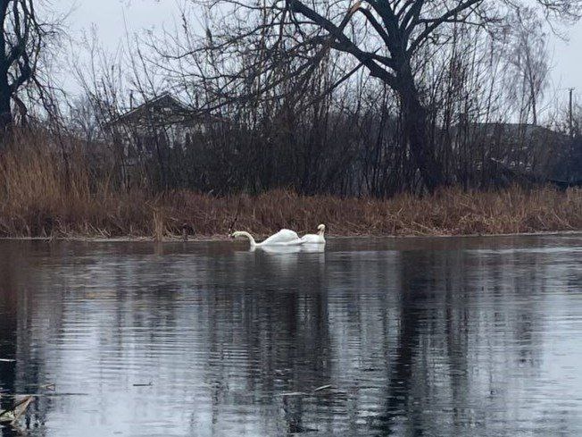 Из социальных сетей. 