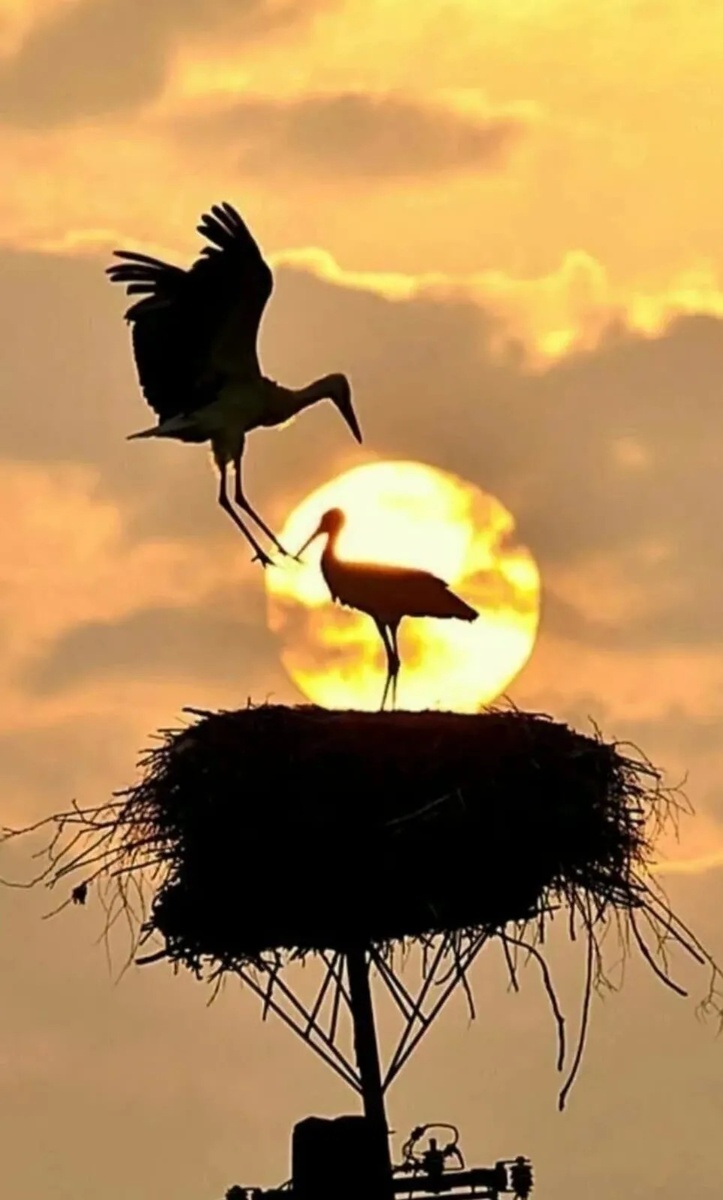 В свободном доступе