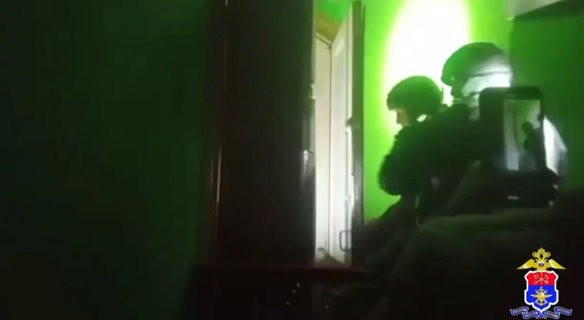    Фото: скриншот из видео пресс-службы УТ МВД России по СЗФО.