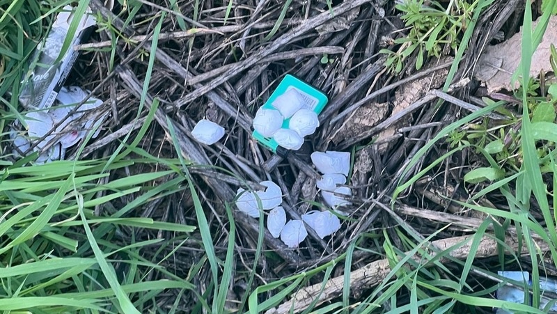      Фото: ГУ МВД по СК