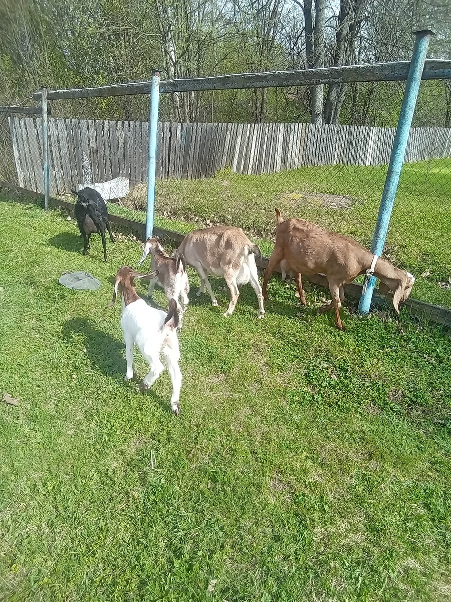 Фото автора.