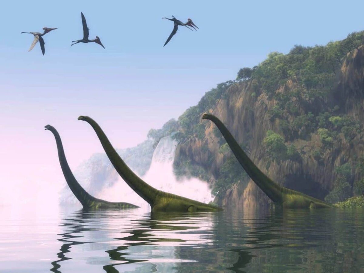 Завроподы (например, Mamenchisaurus) могли забираться в воду / © fosilie-shop.cz, Stefan Mazanh