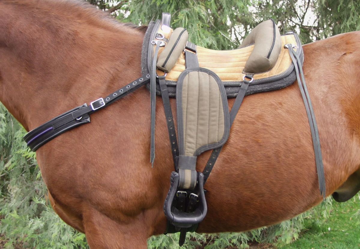 Мартингал (конская упряжь)