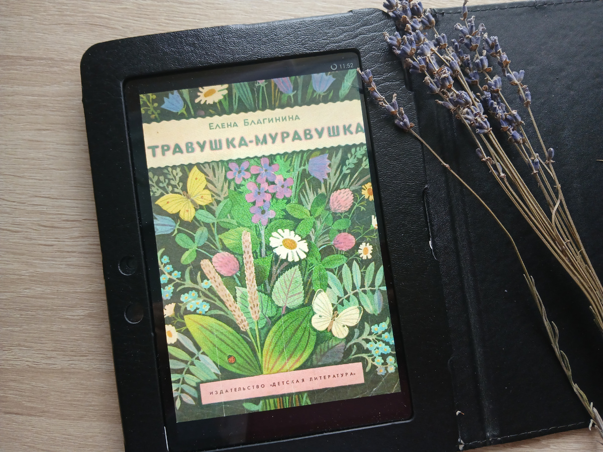 Фото автора.