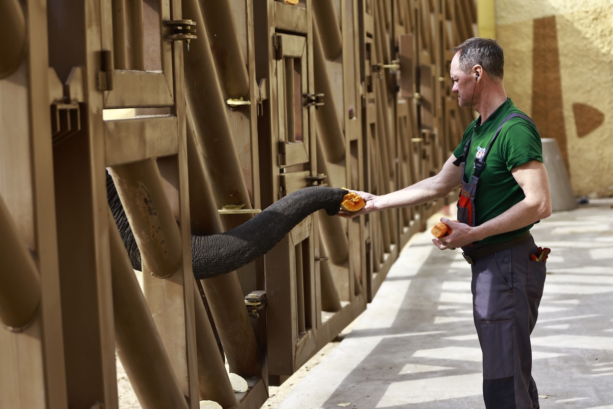 Автор фото: Павел Хацаюк / ИД «Вечерняя Казань»