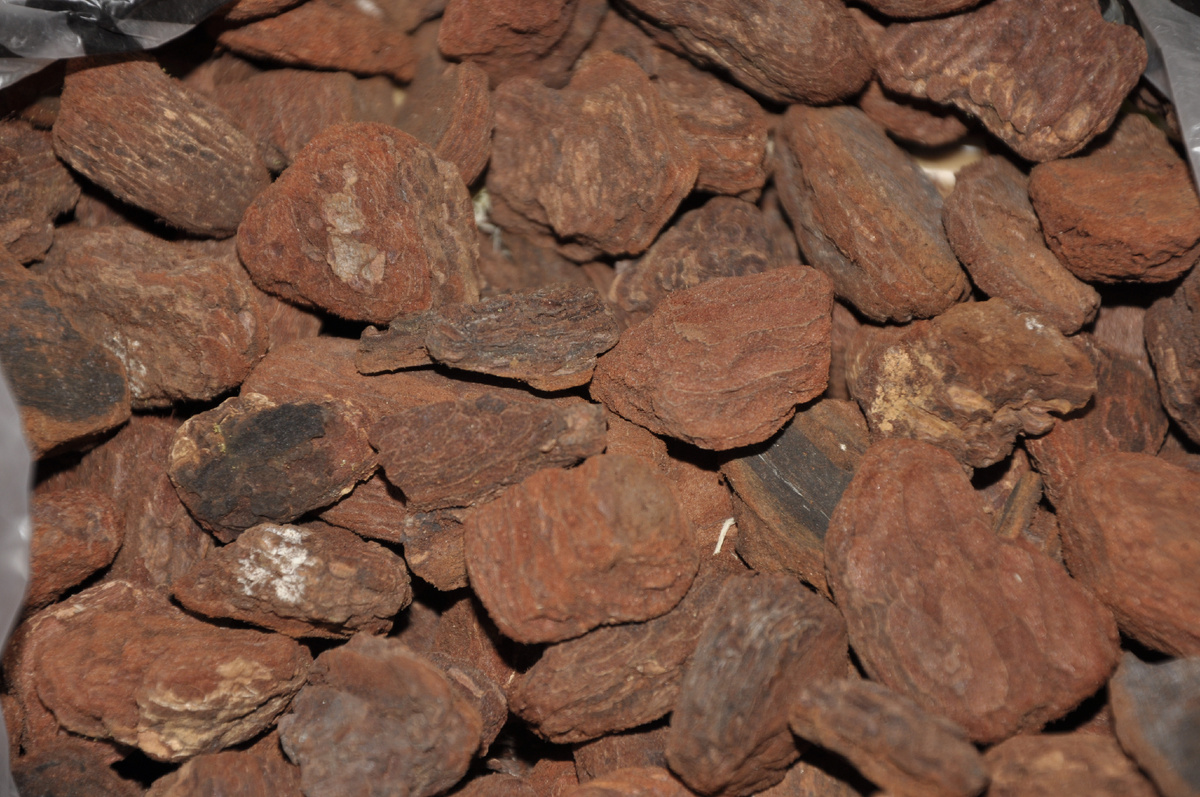 Заготовка коры для орхидей 