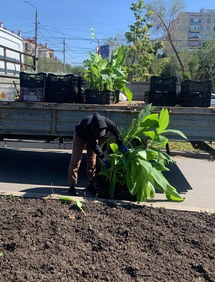  📷    Солнцепек: В Оренбурге косят, сажают, благоустраивают Марина Шарт