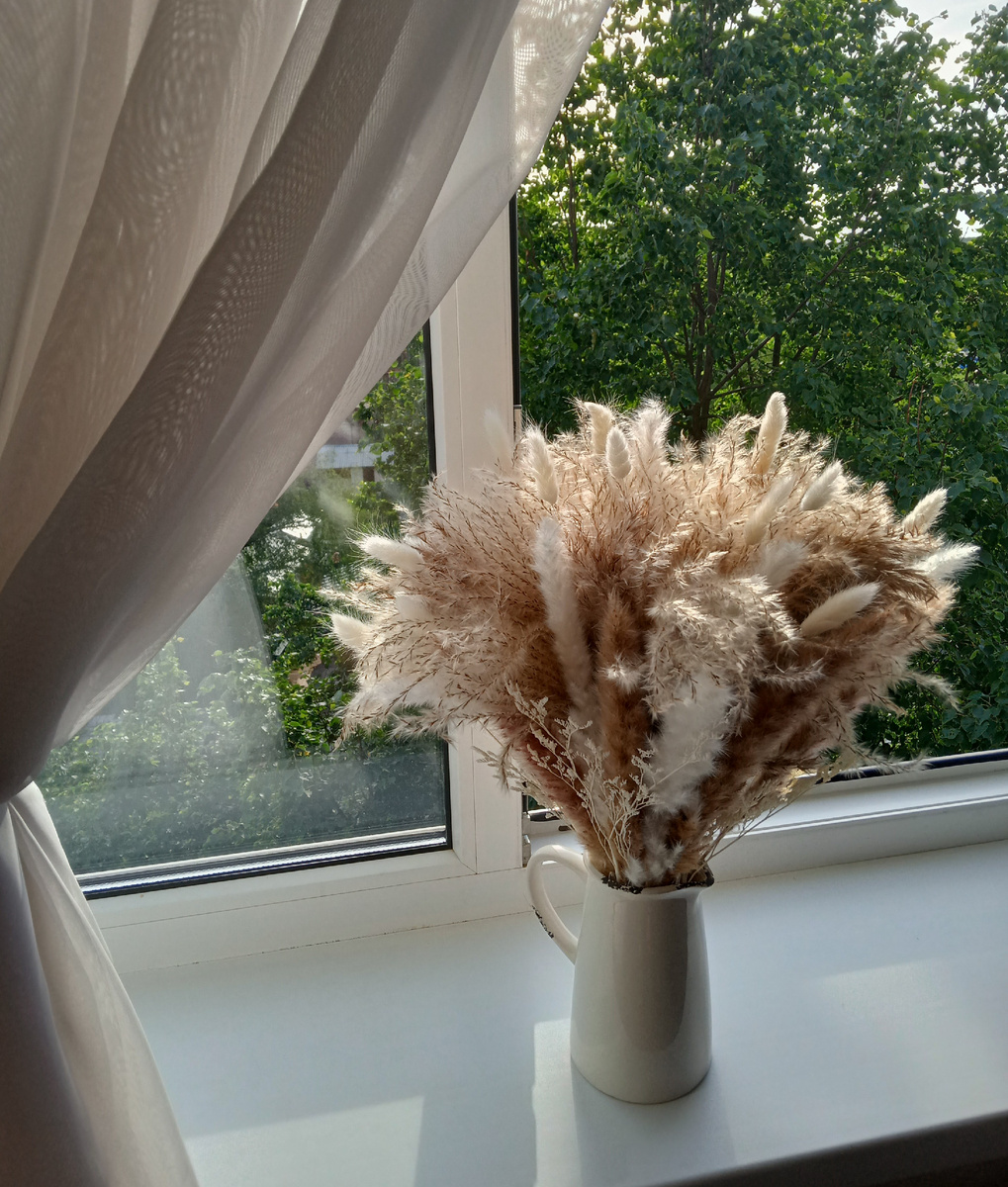 225853544 Фото автора.