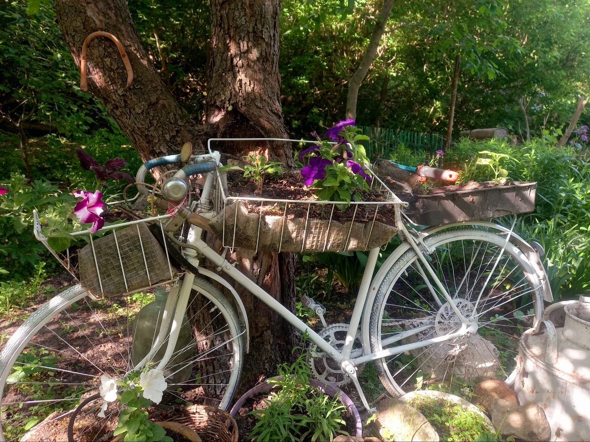 Фото автора 