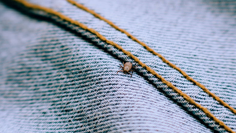 Фото: Мария Бакланова / Коммерсантъ