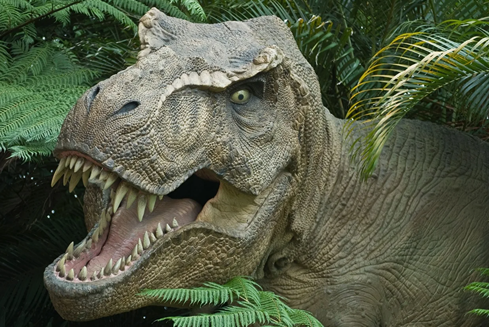 Динозавр Тираннозавр рекс