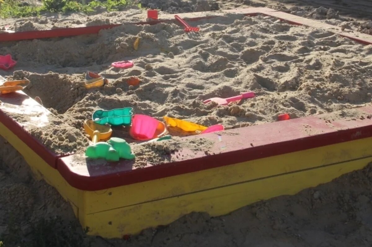    В Чувашии 30 мая стартует летняя оздоровительная кампания