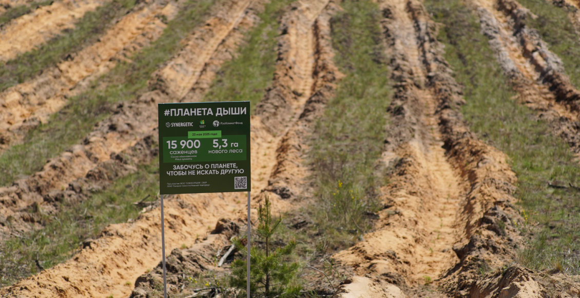    Фото: PR-отдел компании SYNERGETIC