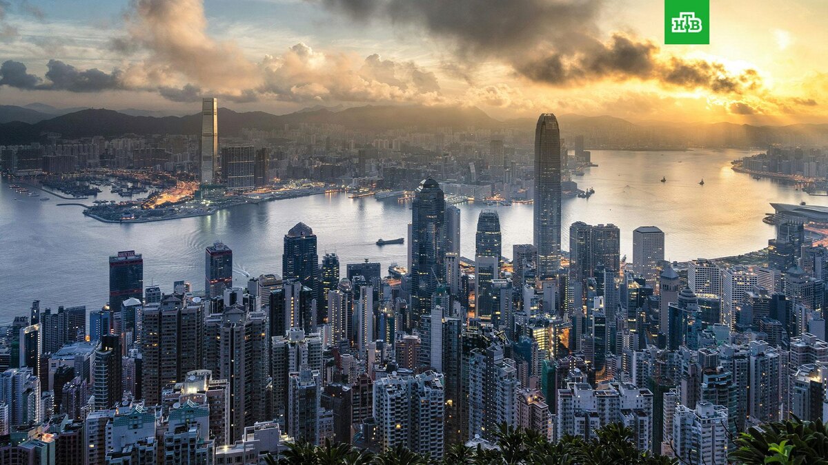    Фото: Ryan Mac / unsplash.com